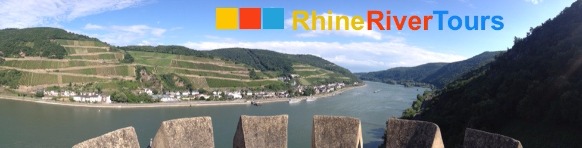 rhine river cruise from bingen